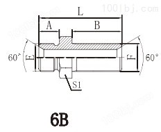 6B 6B-LN 英管外螺纹60°内锥过板接头